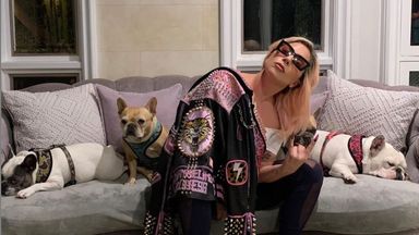 Lady Gaga with her dogs in 2020. Pic: @ladygaga